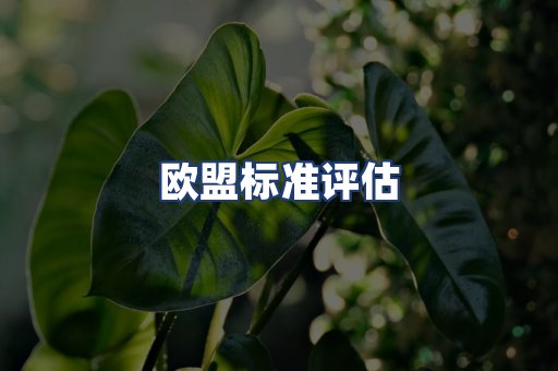 欧盟标准评估