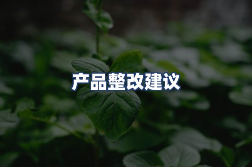 产品整改建议